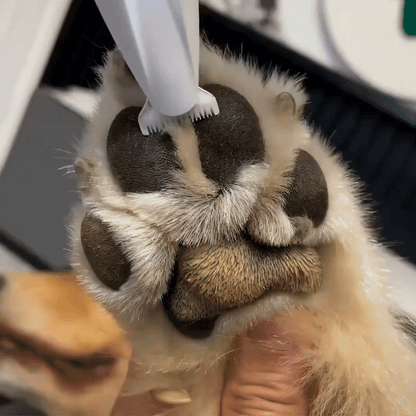 4-in-1 Pfoten-Trimmer